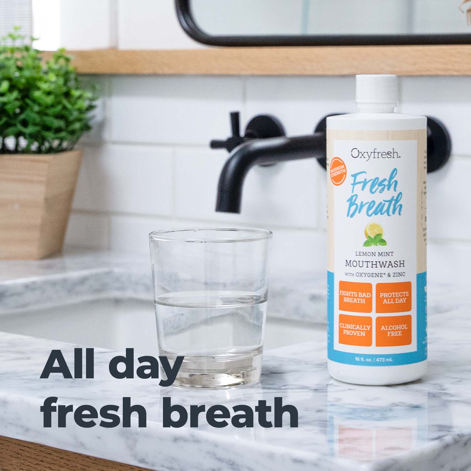 Fresh Breath Lemon Mint Mouthwash | 24 Hr Protection | Fluoride Free