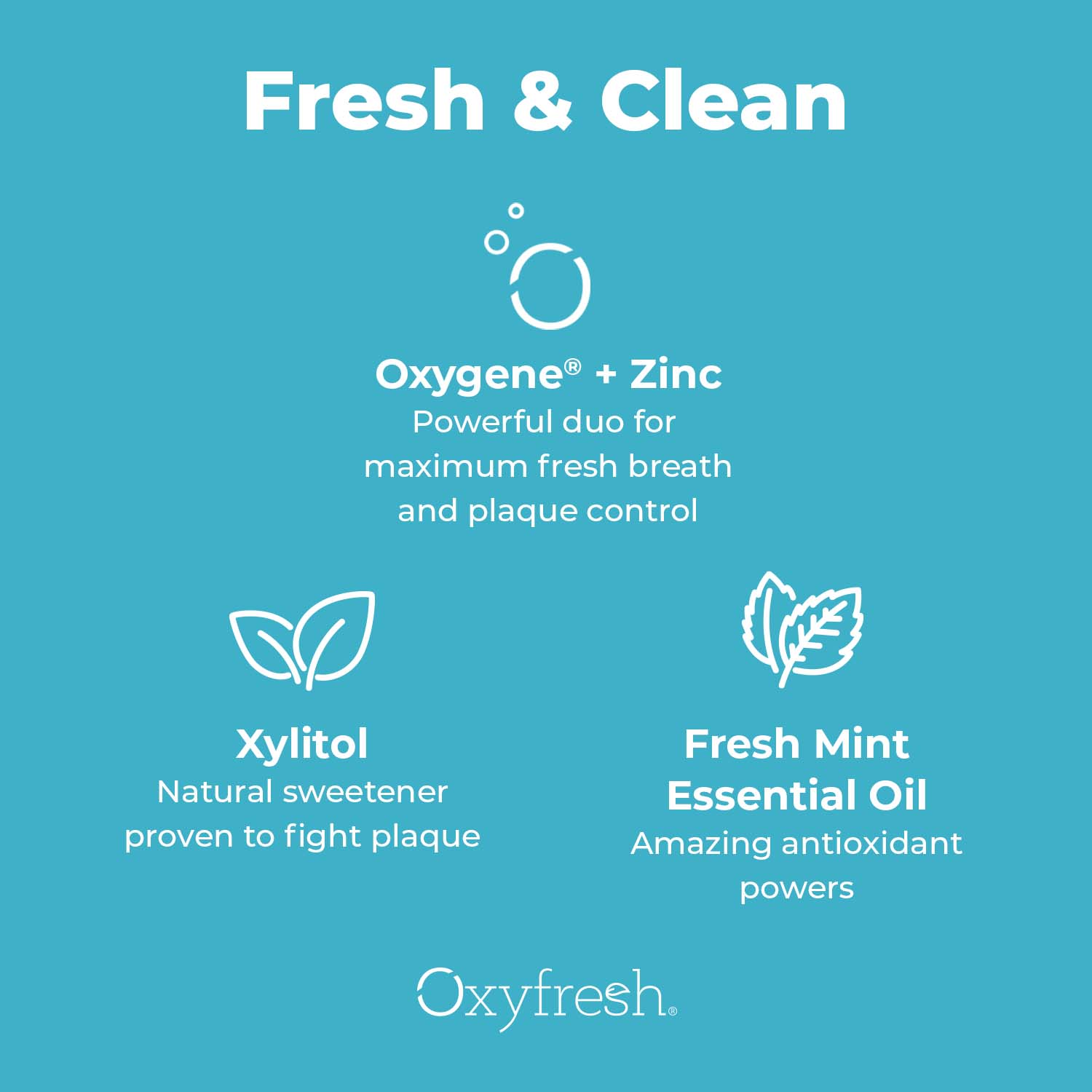 Pro Formula Fresh Mint Mouthwash |  Cosmetic Formula | Fluoride Free