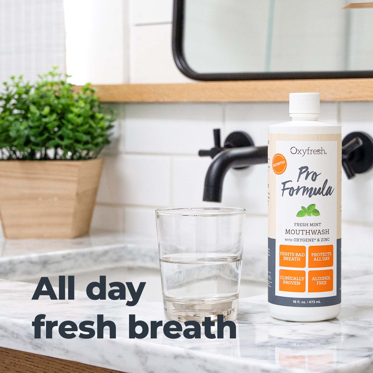 Pro Formula Fresh Mint Mouthwash |  Cosmetic Formula | Fluoride Free