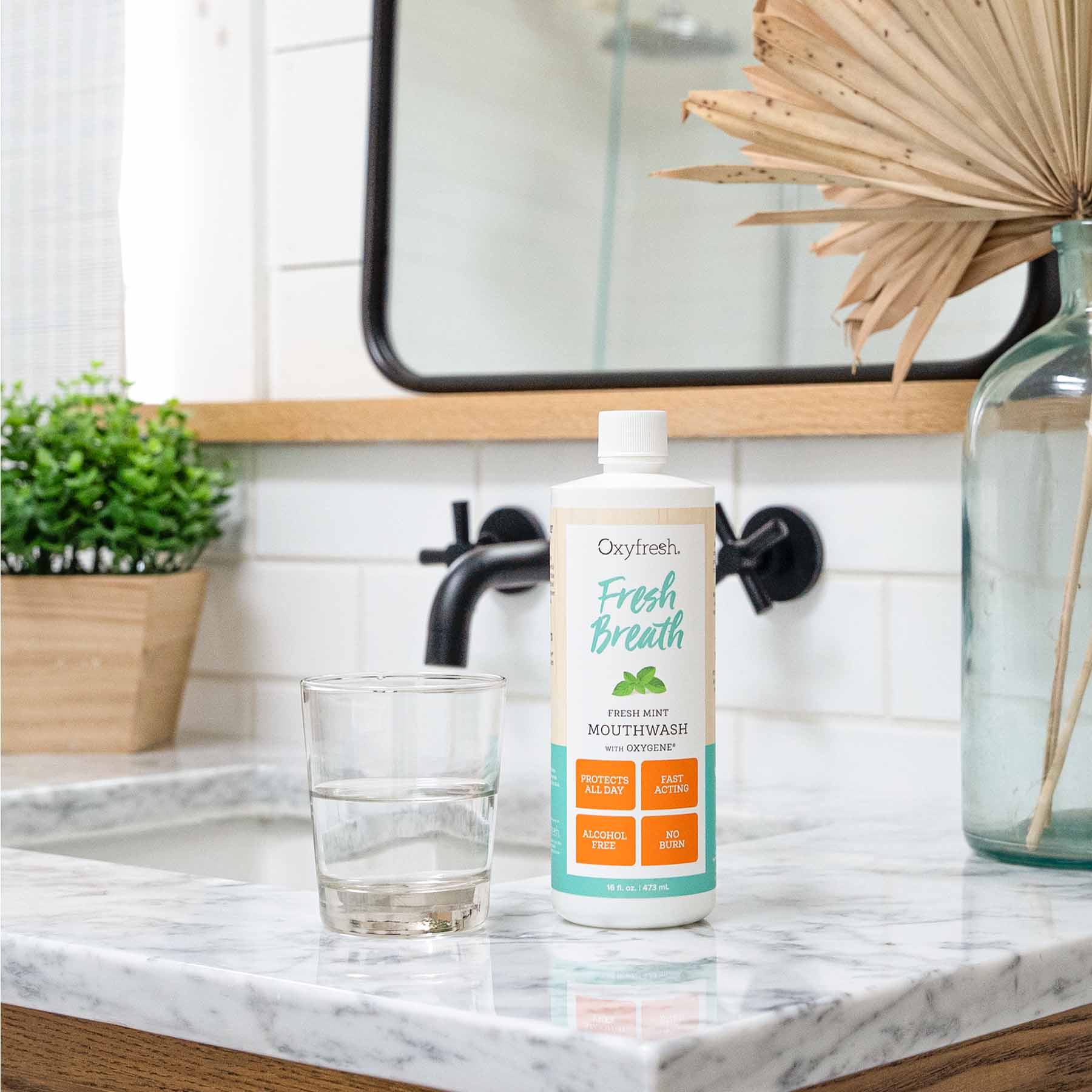 Fresh Breath Fresh Mint Mouthwash | Mild Formula | Fluoride Free